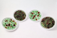 round beach coaster set of 4