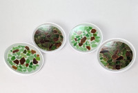 round beach coaster set of 4